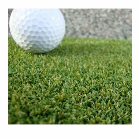 Herbe artificielle de loisirs de matériel durable résistant au feu de 15mm pour le gazon de paysage
